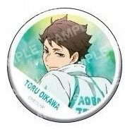 POMMOP 徽章 橫斷募