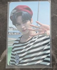 maxident 阿拉丁旻