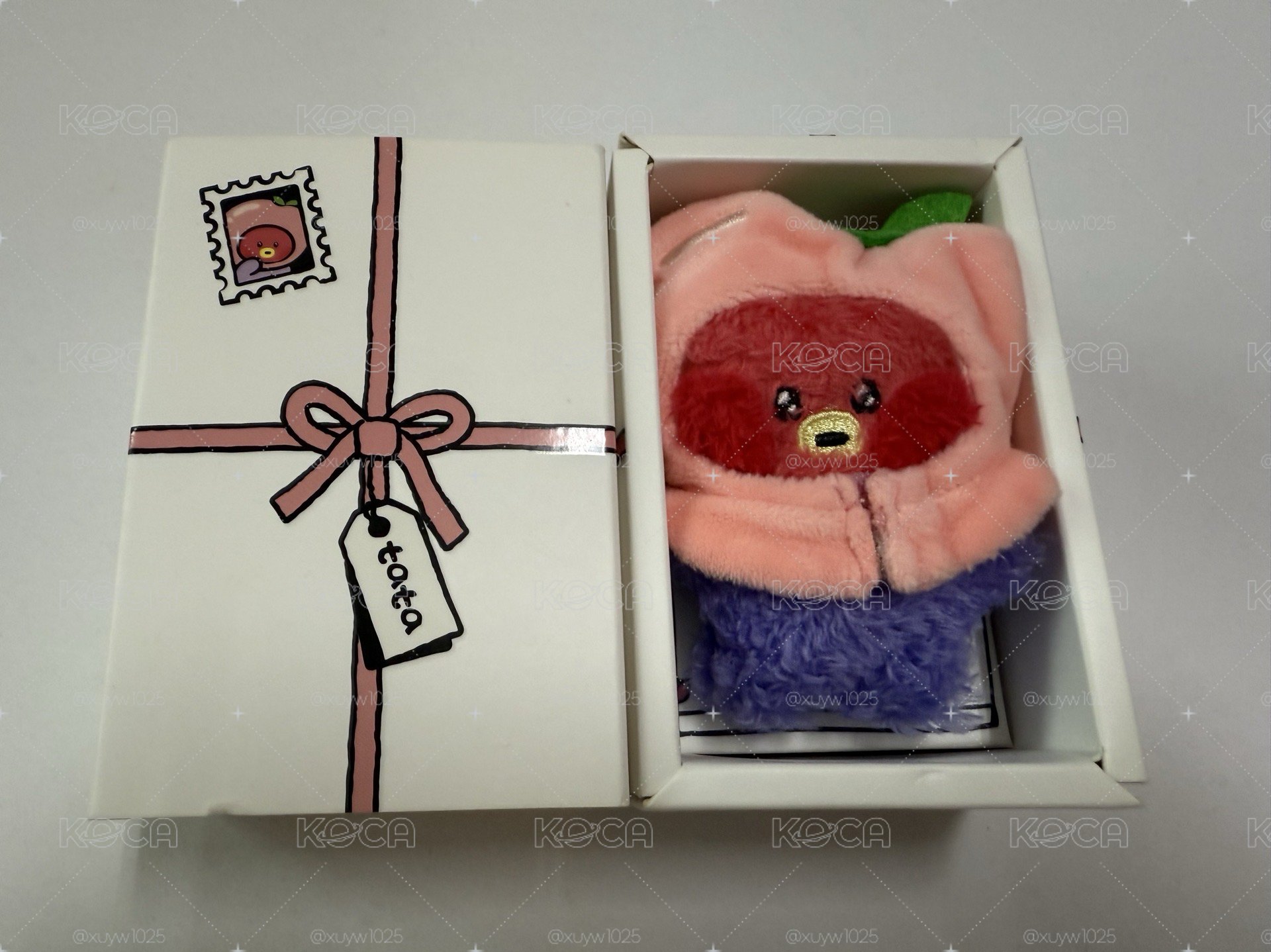 BT21 COOKY/TATA minini 水果系列玩偶