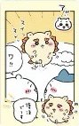 ensky 拍立得卡2 隨機卡 吉伊 小八 獅薩