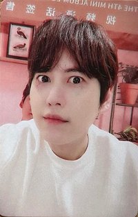 迷四 yzy 簽售卡 