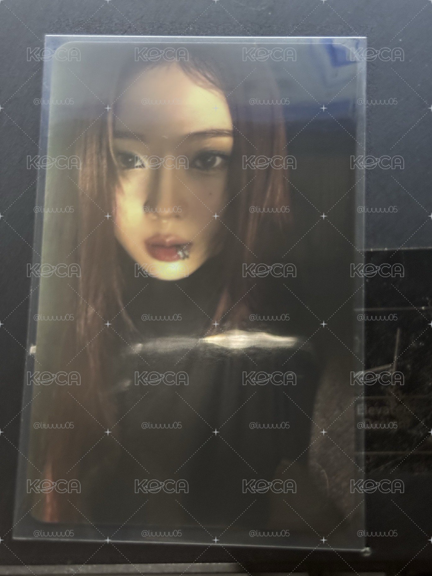 冬小小盤