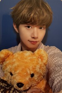 迷五 dmm 簽售卡 熊玩偶ver.