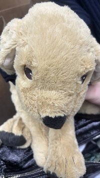 puppymm（個人簡介有賣場說明）