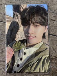 燦 正4 草地燦 wvs特典