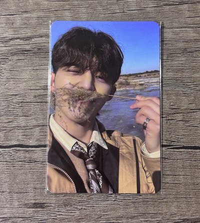 哲 正4 Face the sun 專卡