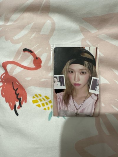 2025年曆中娃卡 冬