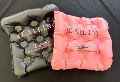 BLACKPINK WORLD TOUR 〈DEADLINE〉 IN GOYANG 充器坐墊（黑色）