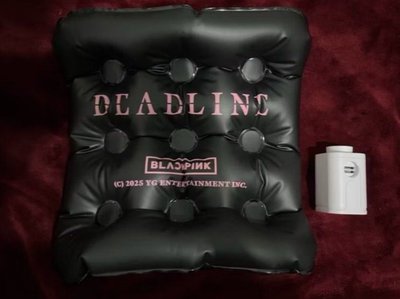 BLACKPINK WORLD TOUR 〈DEADLINE〉 IN GOYANG 充器坐墊（黑色）
