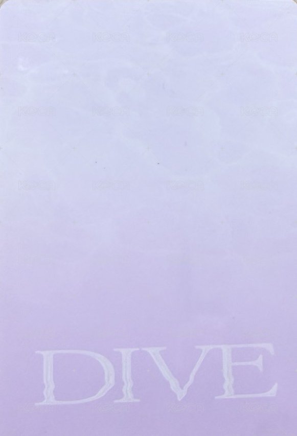 DIVE 塔店 入場卡 / 場限卡  背面