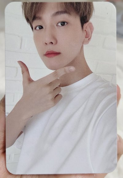 EXO 伯賢2020會員小卡