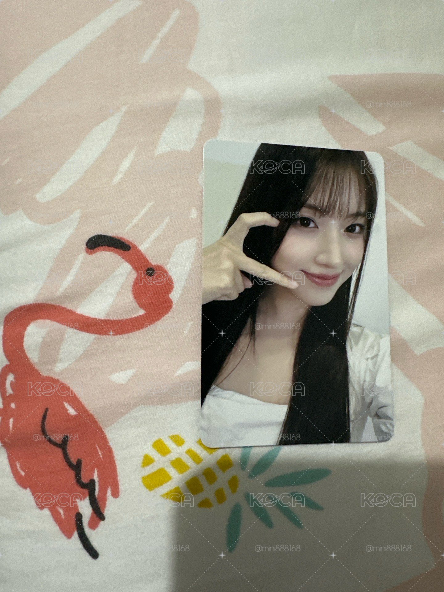 nimxx km簽售 jiwoo 