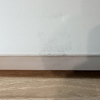 電子專空專（版本如照片，默認外盒有損）