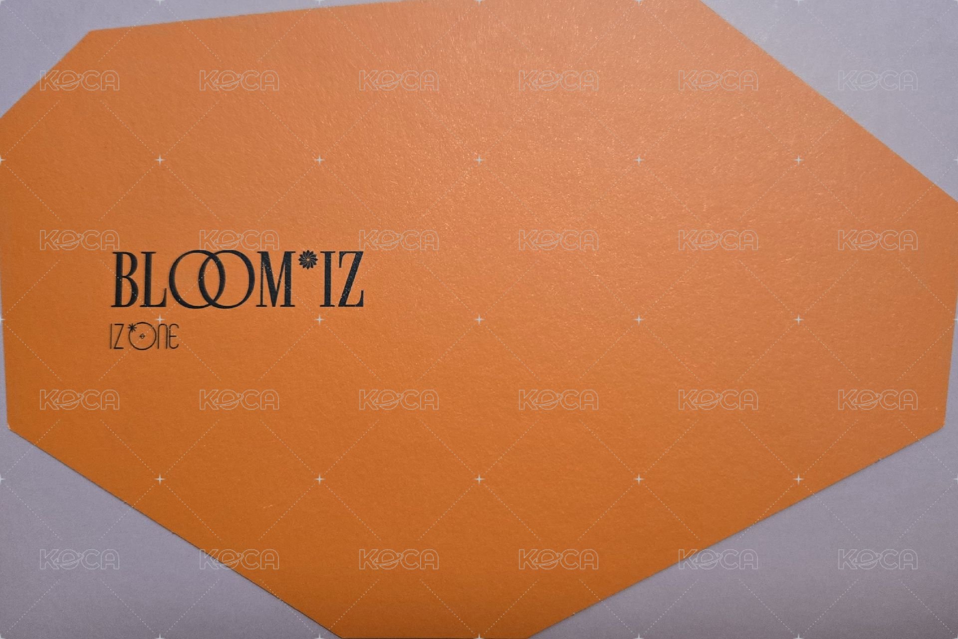 BLOOM*IZ I WILL版 專輯卡 不規則明信片 背面