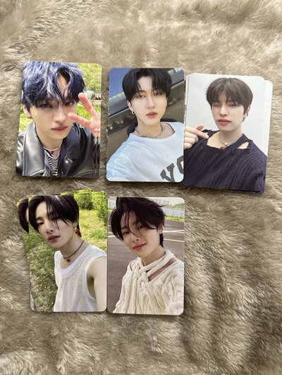 Stray Kids MAXIDENT 專卡 旻浩 彰彬 昇玟 I.N