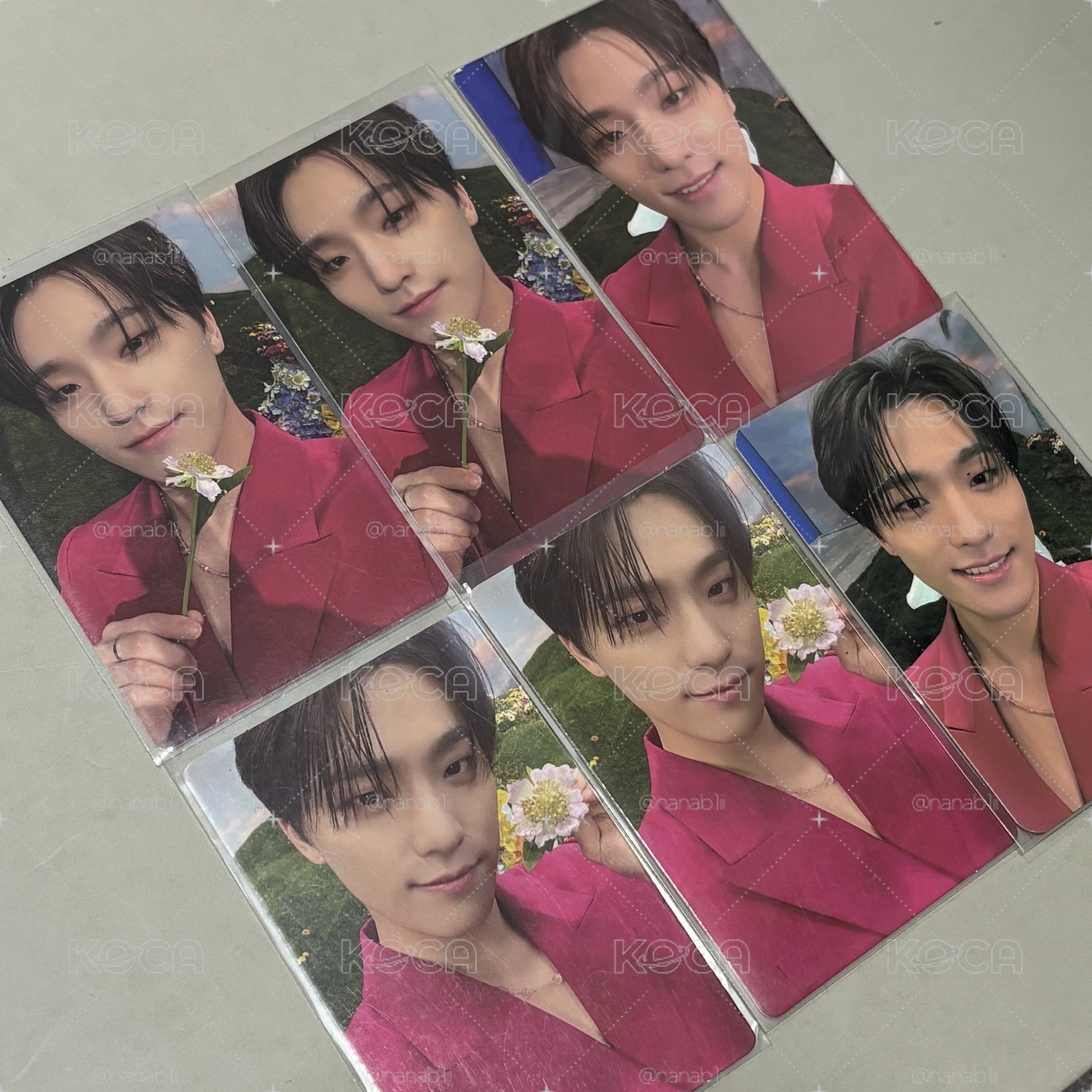 DINO SEVENTEEN 粉色西裝