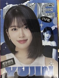 25’ FC IVE SCOUT as DIVE JAPAN A5 資料夾 