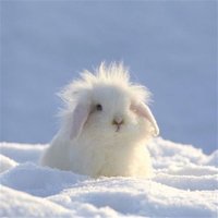 買個紅薯而已沒事的