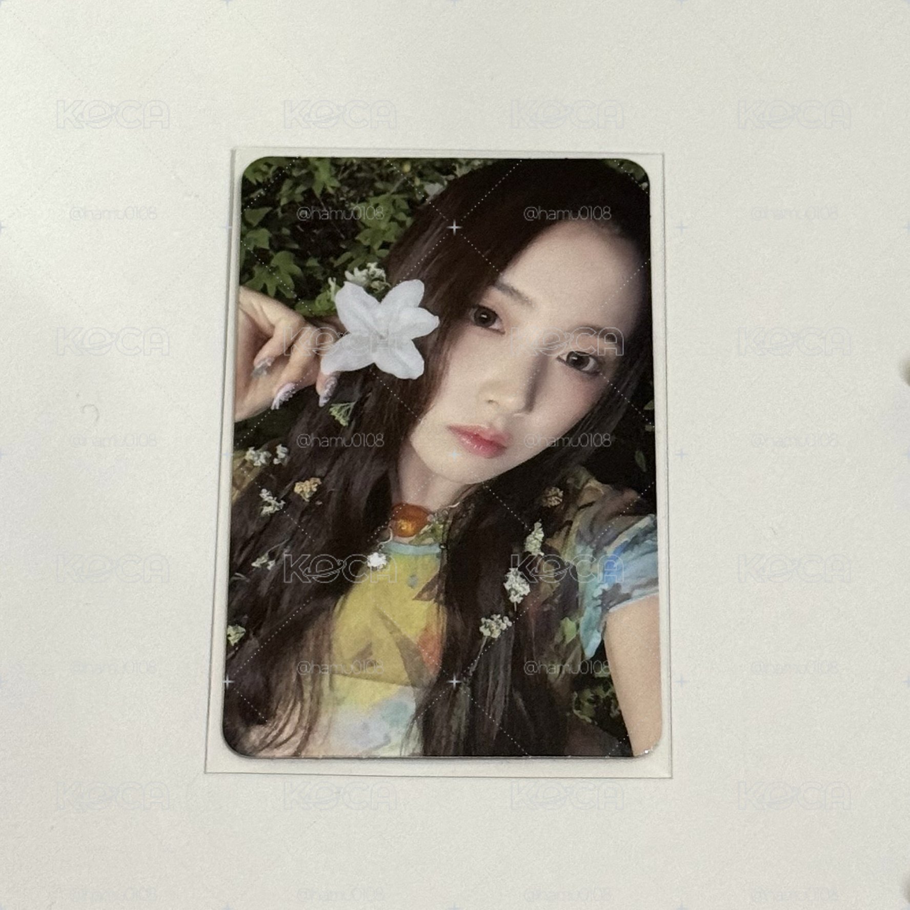 Jiwoo 仲夏夜專輯卡