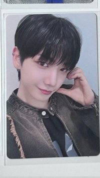 活力小狗飞奔向你