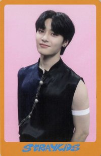 DICON D'FESTA 雜誌卡 