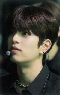 DICON D'FESTA 雜誌卡 