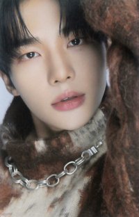 DICON D'FESTA 雜誌卡 