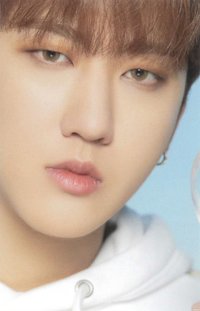 DICON D'FESTA 雜誌卡 