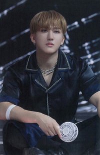 DICON D'FESTA 雜誌卡 