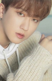 DICON D'FESTA 雜誌卡 