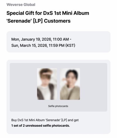 ［代購］碩寛小分隊黑膠