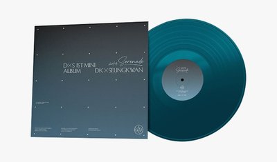 〔預購〕DxS 1st Mini Album 黑膠專輯 wvs通路