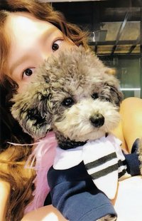 Something New 專輯卡 