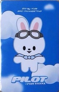 3rd FM 周邊卡 行李吊牌