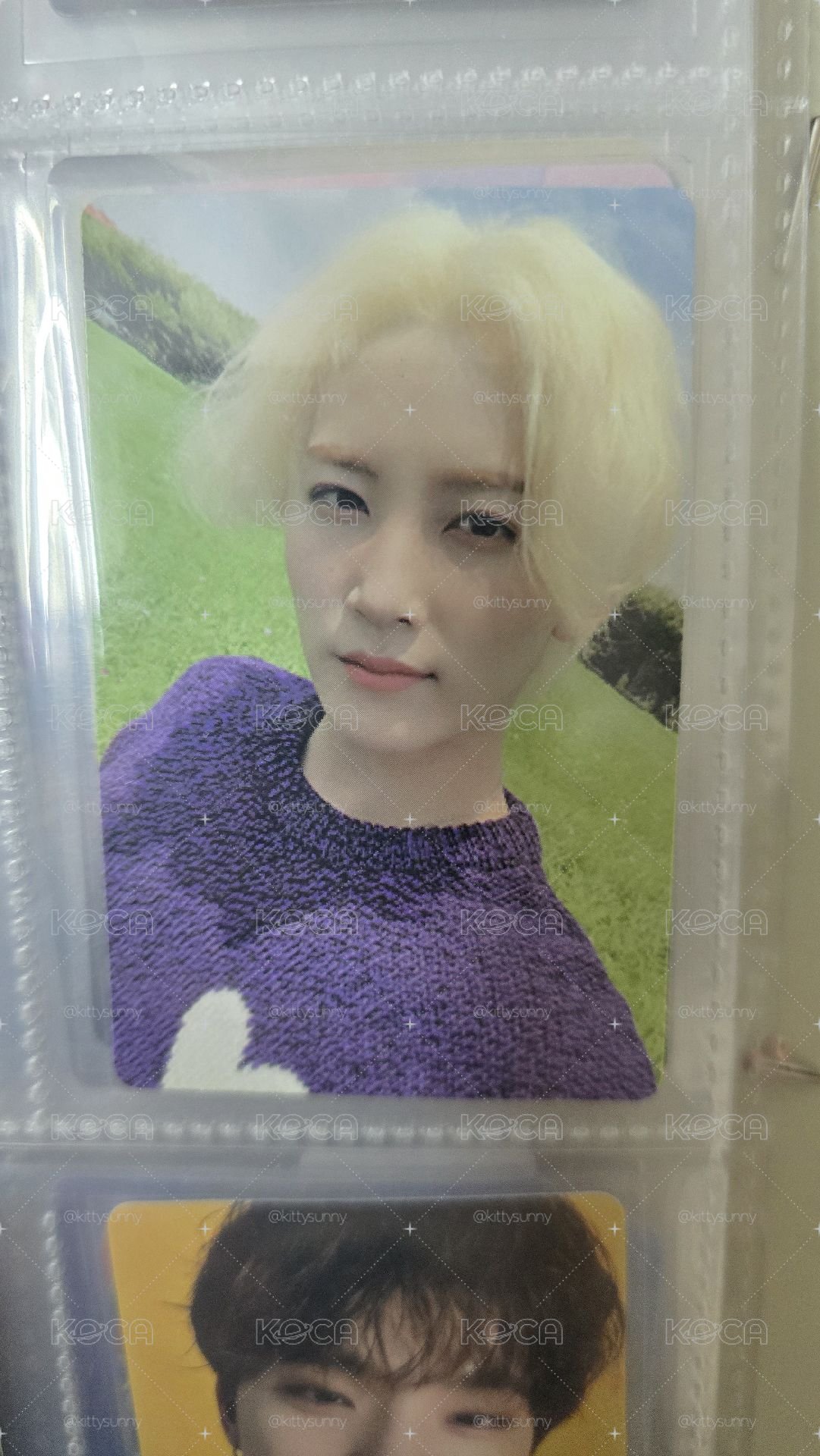 an ode小卡