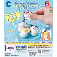 三麗鷗牡蠣寶寶