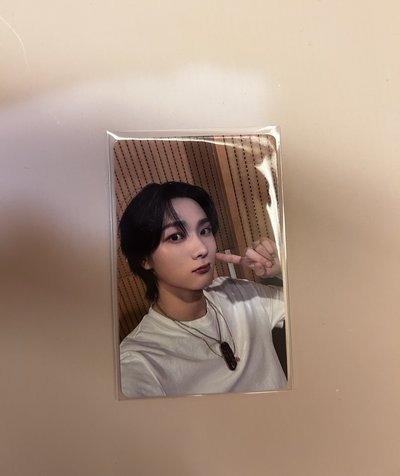 成淏小卡 多收皆可議