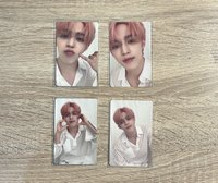 粉髮哲/喆（含一隻櫻桃小酷）