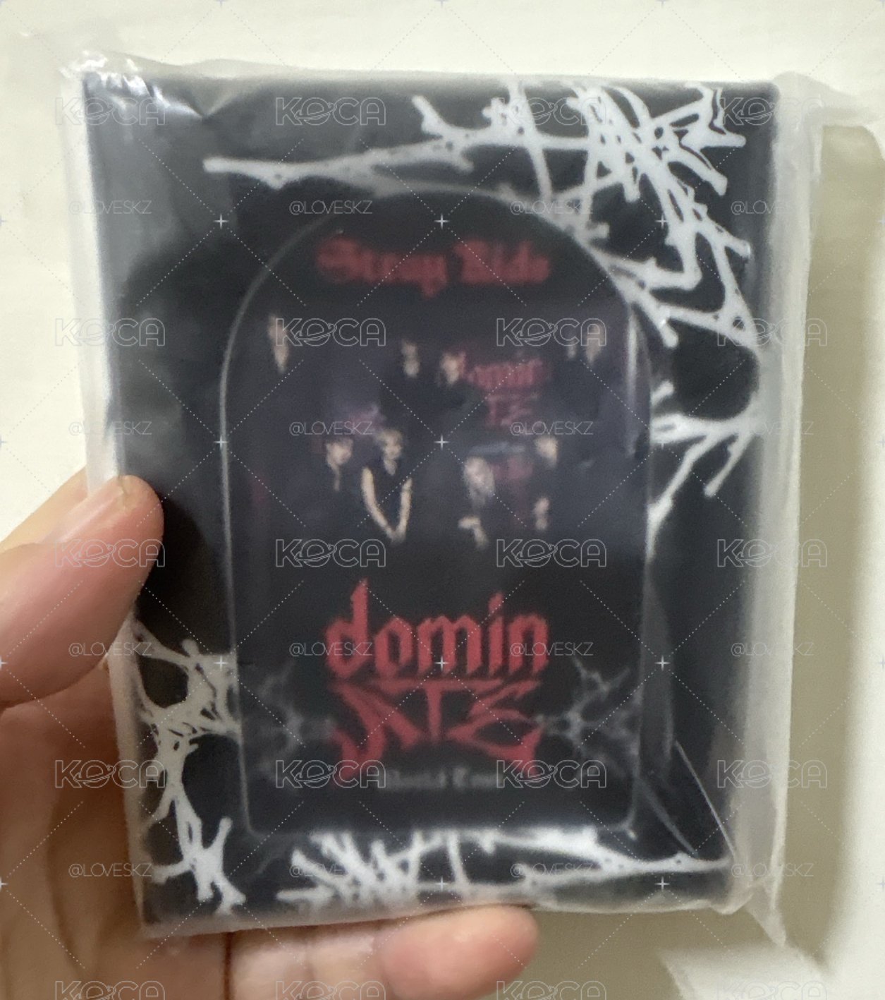 Straykids dominate世巡卡冊