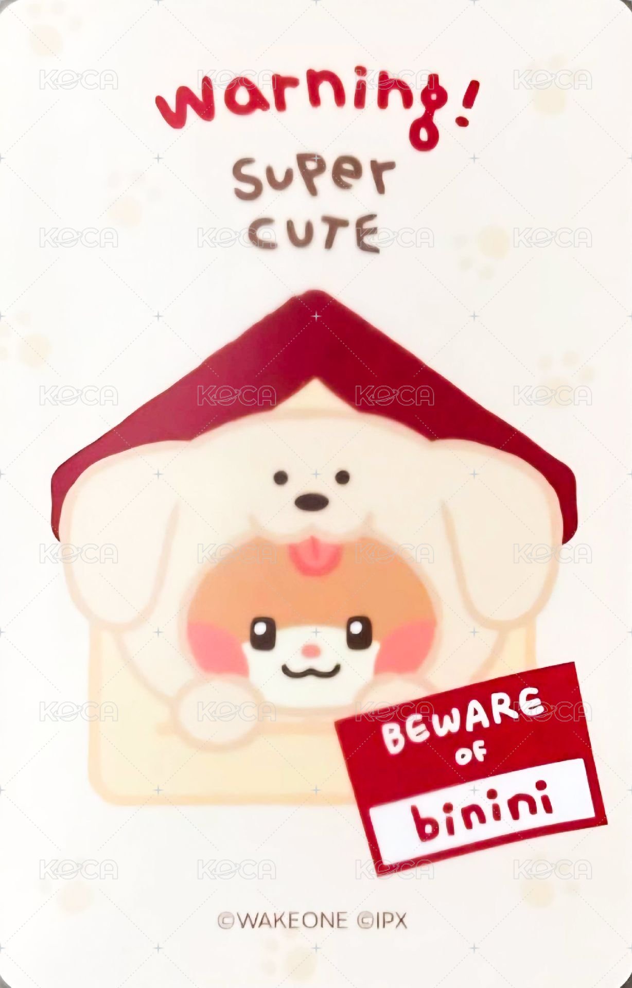 zeroni FW 滿額卡  背面