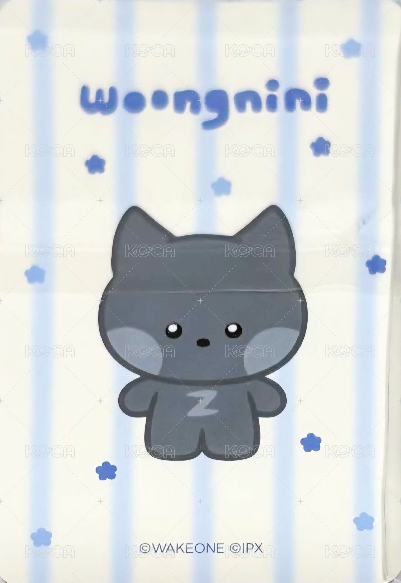 zeroni FW 周邊卡 收納包卡 背面