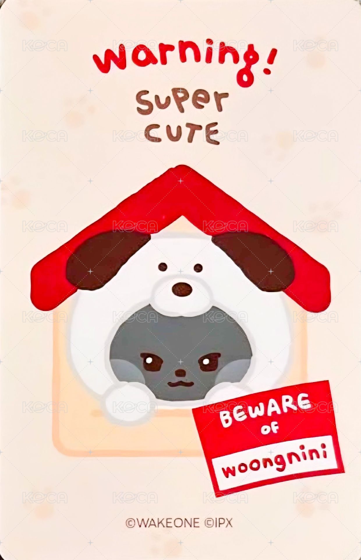 zeroni FW 滿額卡  背面