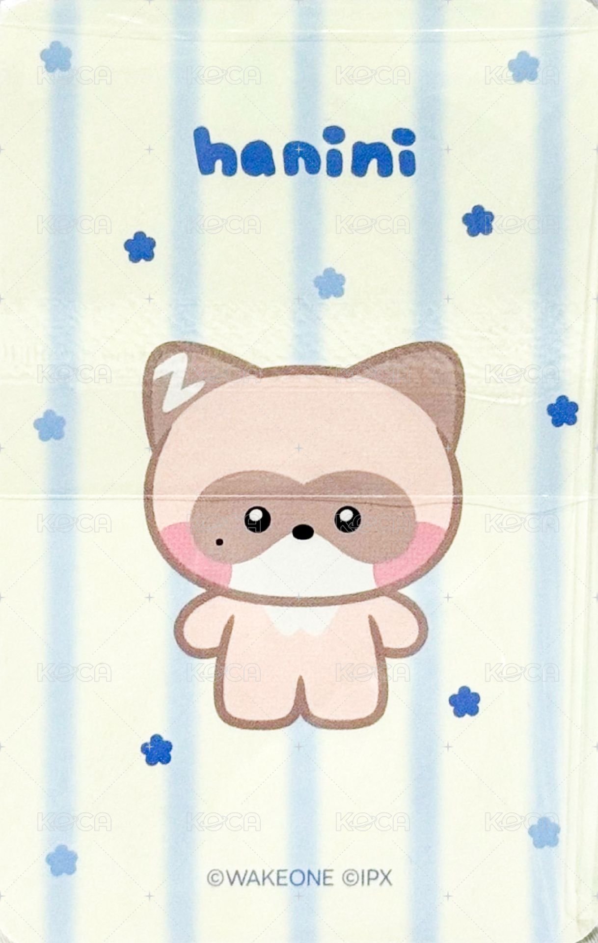 zeroni FW 周邊卡 收納包卡 背面