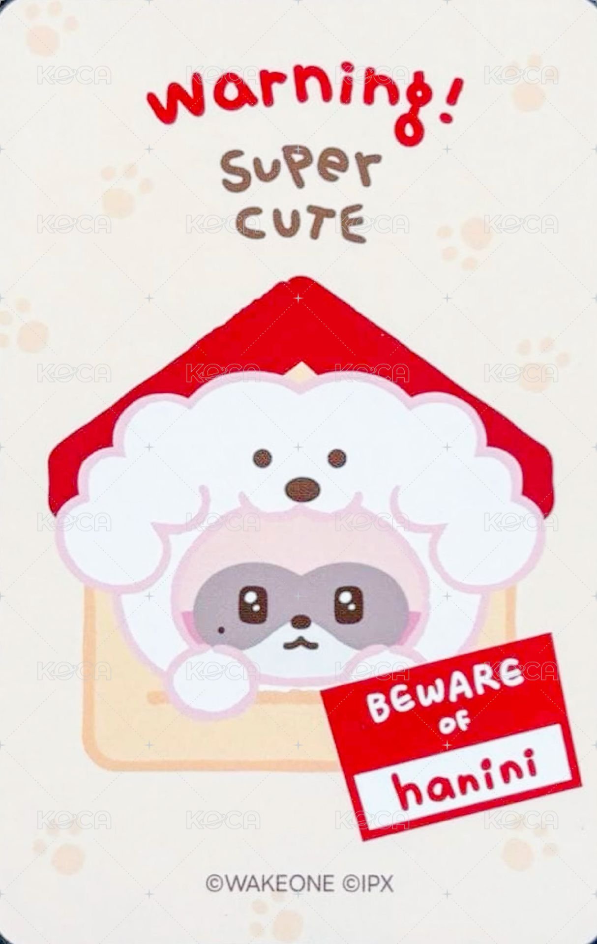 zeroni FW 滿額卡  背面