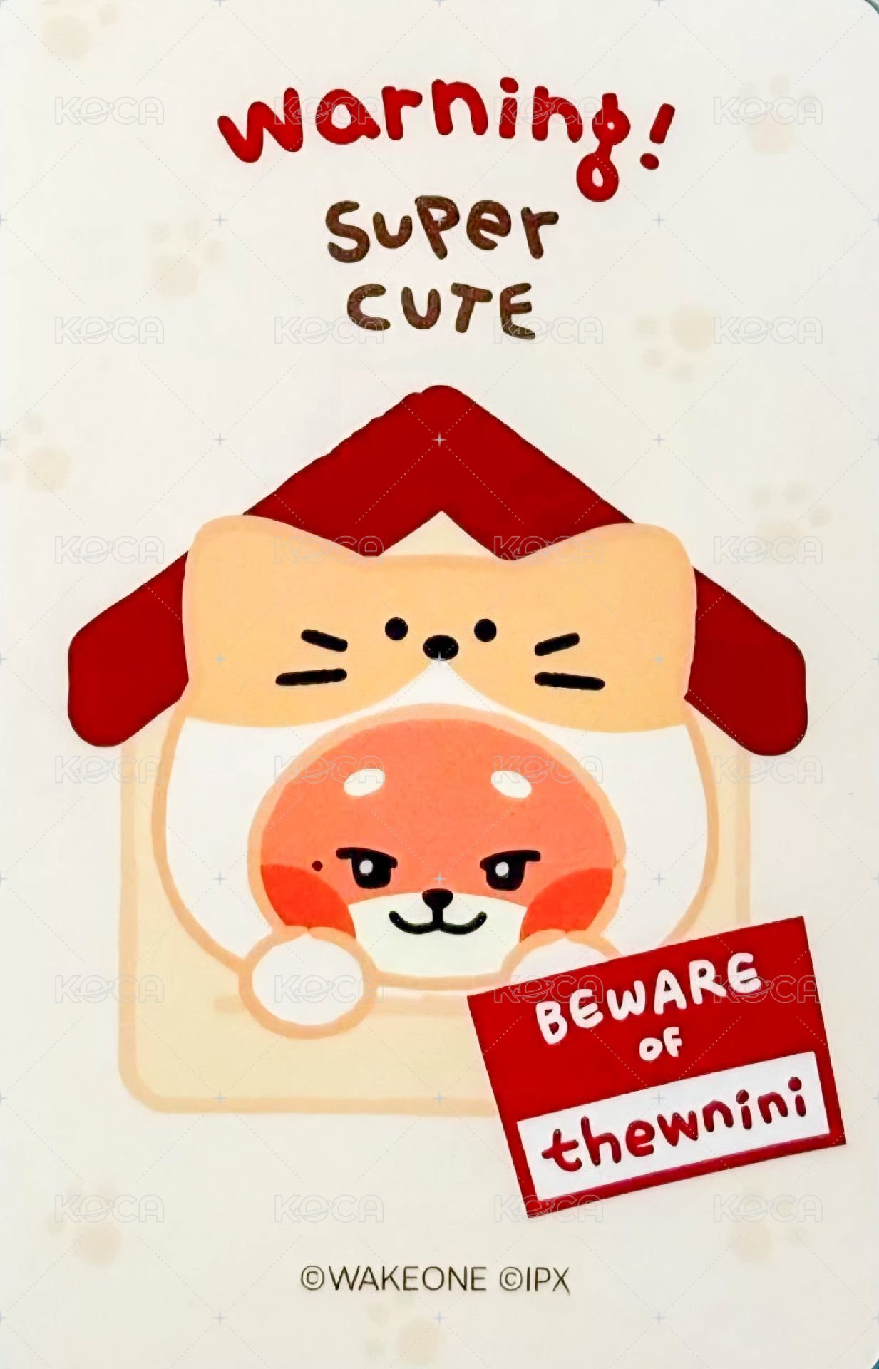 zeroni FW 滿額卡  背面