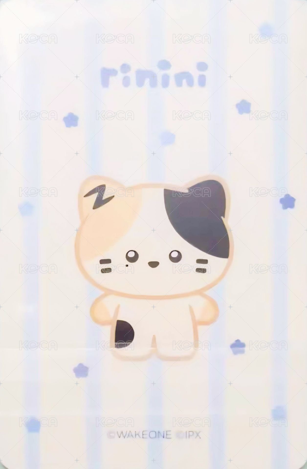 zeroni FW 周邊卡 收納包卡 背面