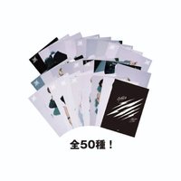 Scars 未拆卡包 大卡組