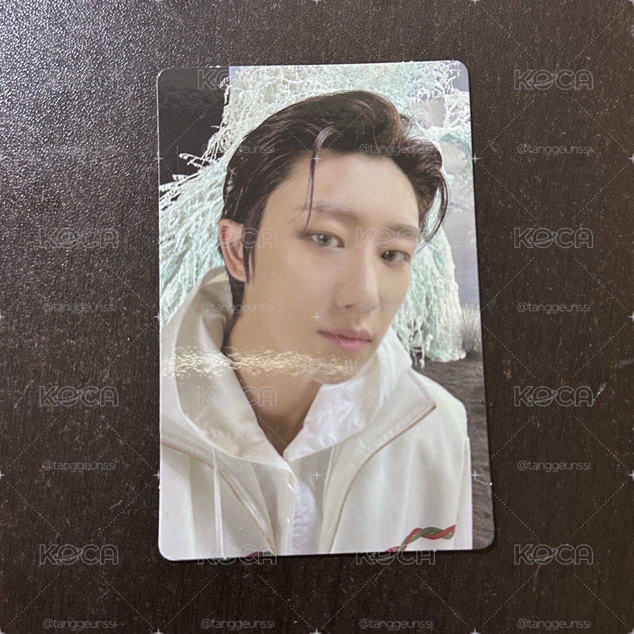 seventeen the8 專卡
