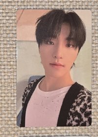 迷9 豹紋毛衣燦