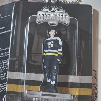 💎現貨｜SEVENTEEN 2025 Home 壓克力立牌 人形吊飾 小卡 隨機卡包 JOSHUA 洪知秀